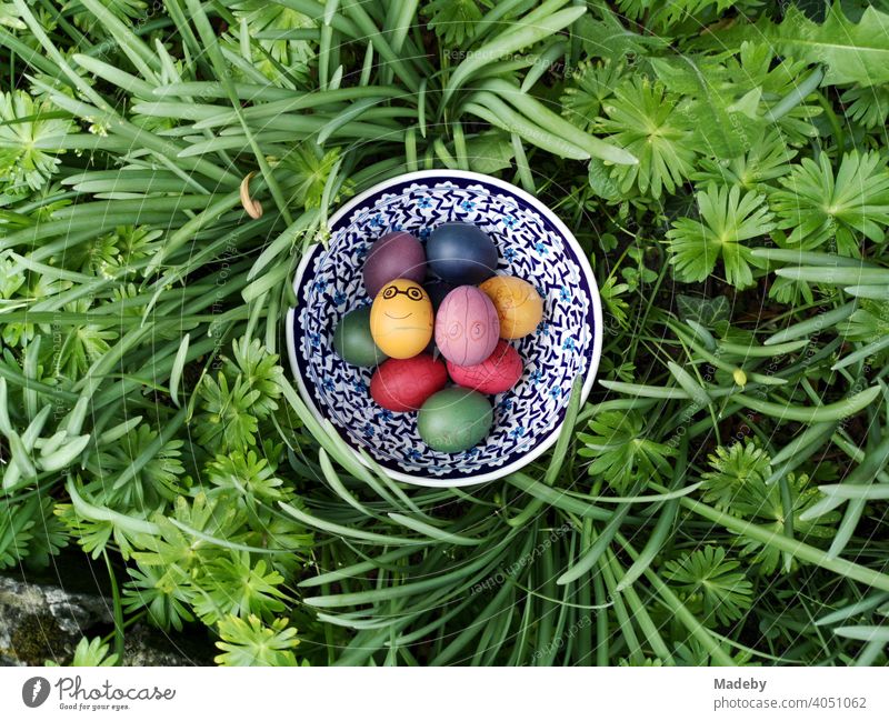 Bunt gefärbte Ostereier in gemusterter Schale aus Porzellan im Grünen an Ostern in Oerlinghausen bei Bielefeld am Hermannsweg im Teutoburger Wald in Ostwestfalen-Lippe