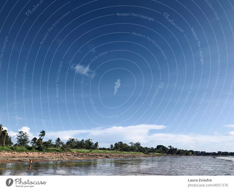 Spaziergang an der Küste Küstenlinie Strand Badeurlaub Himmel Skyline Blauer Himmel MEER Meer Landschaft Gezeiten Wasser Palme Urlaub Natur