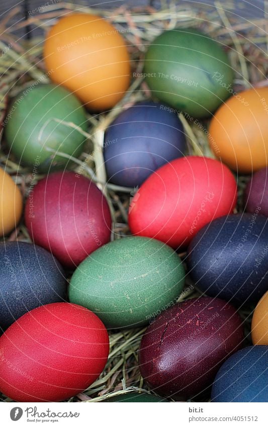 Bunte Ostereier im Nest Ostern Osterhase Osternest ostereier Ostermontag Osterwunsch osterdekoration Ei Eierschale Schale bunt angemalt Stroh