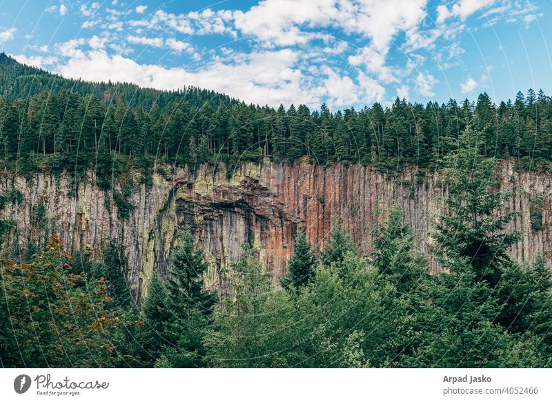 Ayance-Schlucht Palisaden Evergreens Landschaft Lewis Lewis Grafschaft Washington Berge u. Gebirge Steine Bäume Wolken Himmel