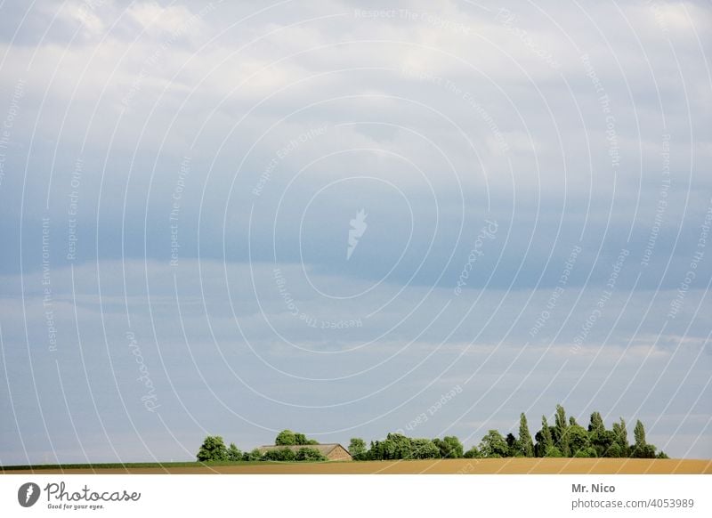 Leben auf dem Land Landwirtschaft Ackerland idyllisch Himmel Einsamkeit Horizont Feld Bauernhof Ernte Natur ländlich Landschaft Scheune Wäldchen Wolken