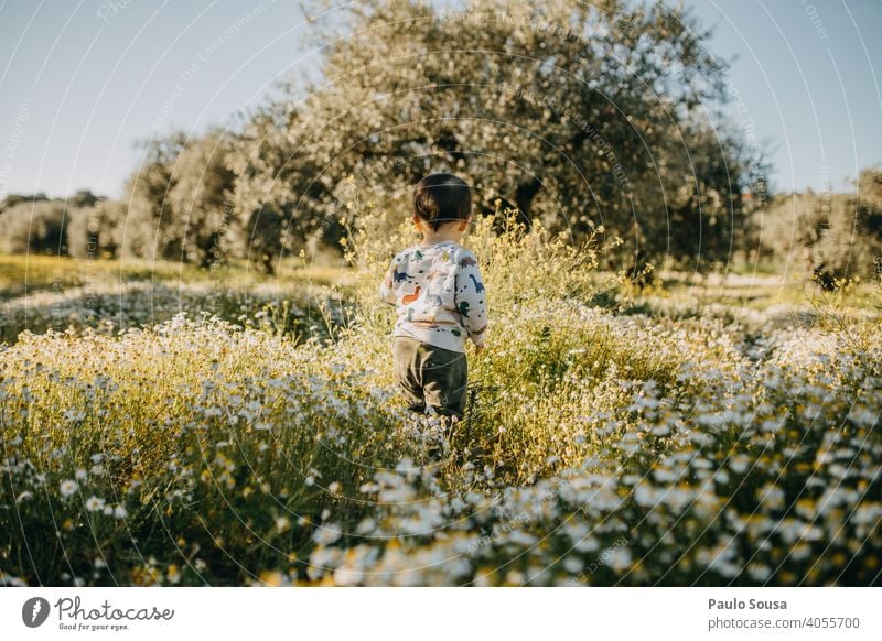 Rückansicht Kind auf Blumenwiese unkenntlich 1-3 Jahre Frühling Frühlingsgefühle Frühlingsblume Blühend Mensch Garten Blüte Außenaufnahme Natur Farbfoto Wiese