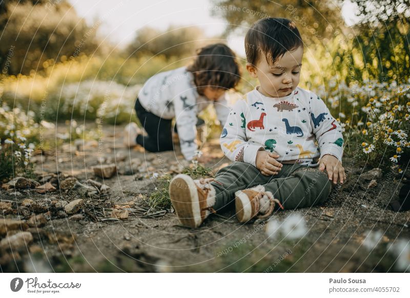 Bruder und Schwester spielen im Freien Frühling Frühlingsgefühle Frühlingsblume Wiese Blumenwiese Geschwister Familie & Verwandtschaft authentisch Kind Kindheit