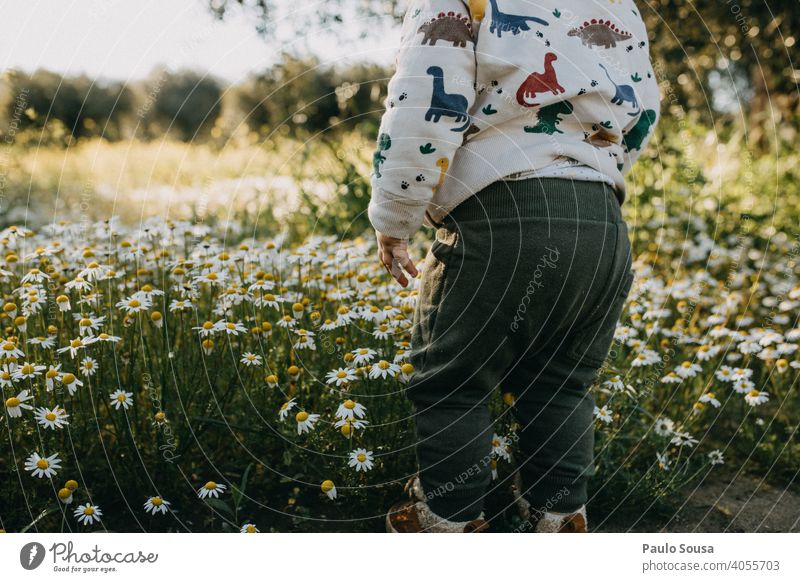 Rückansicht Kind auf Blumenwiese Mittelteil Kindheit 1-3 Jahre Farbfoto Außenaufnahme Mensch Kleinkind Spielen Frühling Frühlingsgefühle Frühlingsblume