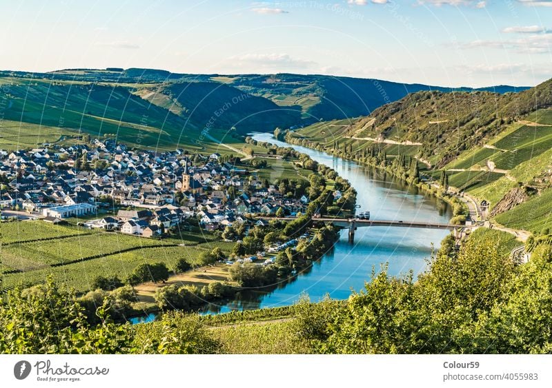 Trittenheim in Deutschland Schönheit Moselschleife Landschaft Pflanzen Europa Natur trittenheim Wein Weinberg Fluss Tal Panorama Trauben Weinbau Tourismus grün