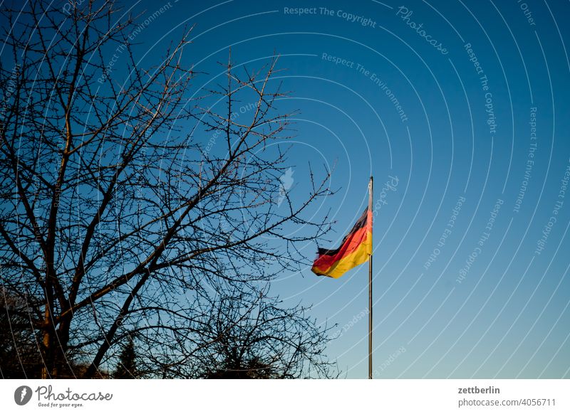 Wehende Deutschlandfahne abend ast baum feierabend ferien froschperspektive frühjahr frühling frühlingserwachen garten himmel kleingarten kleingartenkolonie