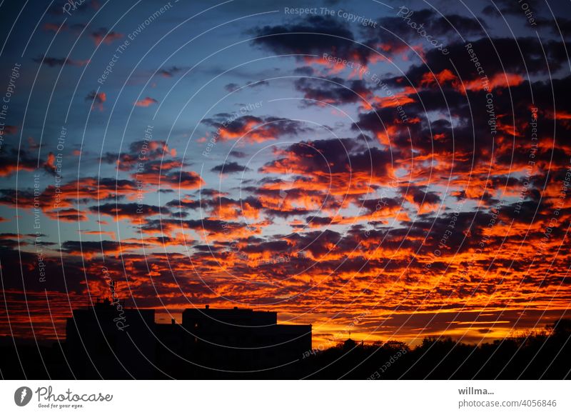 himmlisches Flammenmeer Abendrot Wolken Abenddämmerung Sonnenuntergang eindrucksvoll Himmel Naturereignis Skyline Häuser Dämmerung Abendrot Gutwetterbot