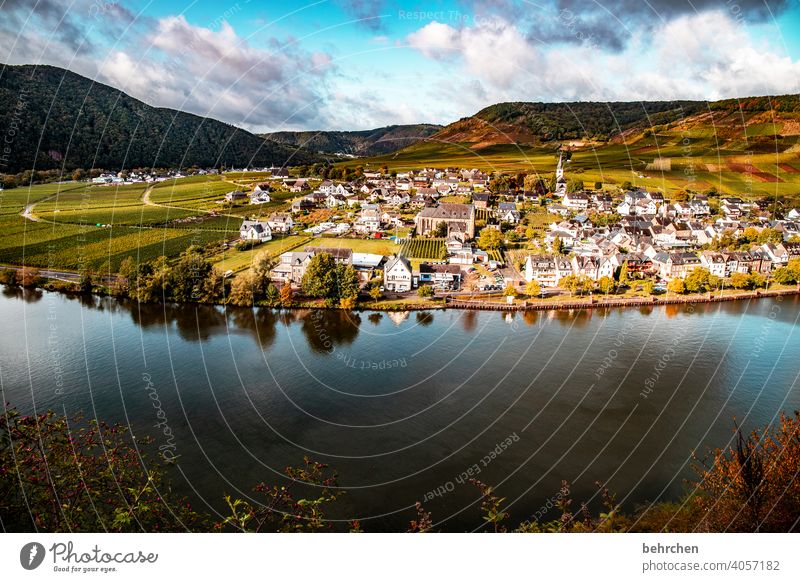 die mosel für truelight Blauer Himmel blau Häuser Menschenleer Schönes Wetter Weinstock Umwelt Natur Außenaufnahme Rheinland-Pfalz Ferien & Urlaub & Reisen Wald