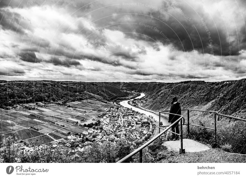 moseldramatik weite Dorf Stadt Weinberg herbstlich Jahreszeiten Herbst Regen Sohn Kindheit Wanderer Hunsrück Moseltal Mosel (Weinbaugebiet) Flussufer