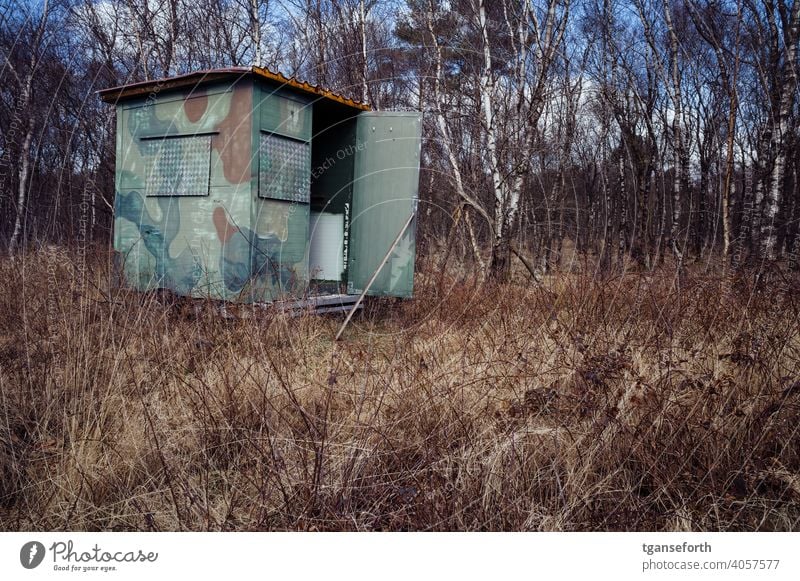 Jägerhütte im Moor Jagd Ansitz mobil Birkenwald Farbfoto Außenaufnahme Natur Landschaft Menschenleer Wald Umwelt Schönes Wetter Jagdrevier Jagdausguck Hochsitz