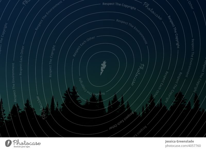 Silhouette eines Waldes gegen den Nachthimmel Abenddämmerung Baumsilhouetten Waldsilhouette Abendhimmel Bäume blau grün dunkel Himmel Natur Kontrast Dämmerung