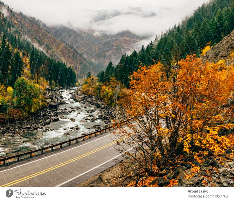 Canyon Groove fallen Herbstfarben Nebel LANDSCHAFTEN 2015 Landschaften Leavenworth Berge u. Gebirge orange Straße Bäume Tumwater-Schlucht Washington Wetter