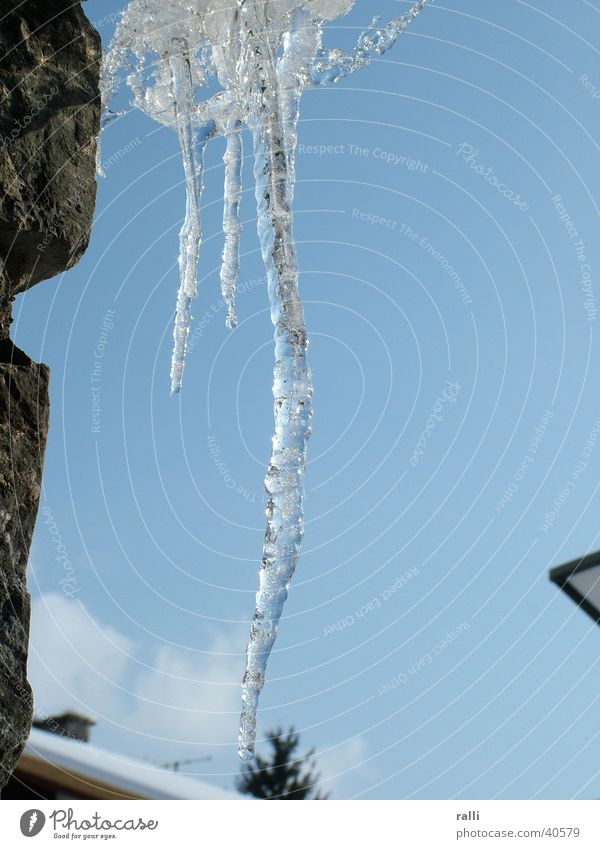 Eiszapfen Winter