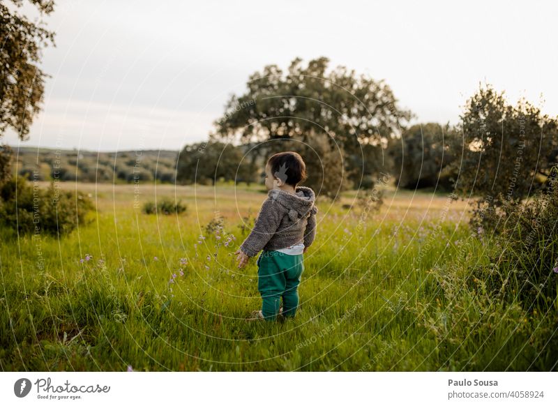 Rückansicht Kind stehend auf dem Feld Kindheit Kaukasier 1-3 Jahre Frühling Frühlingsgefühle Wiese mehrfarbig Lifestyle Mensch authentisch Fröhlichkeit Tag