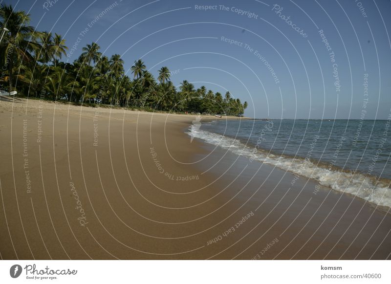 Strand Brasilien 02 Südamerika Meer Palme grün Wellen Brandung nass Physik Sonne Sand Himmel blau Graffiti Wasser Wärme