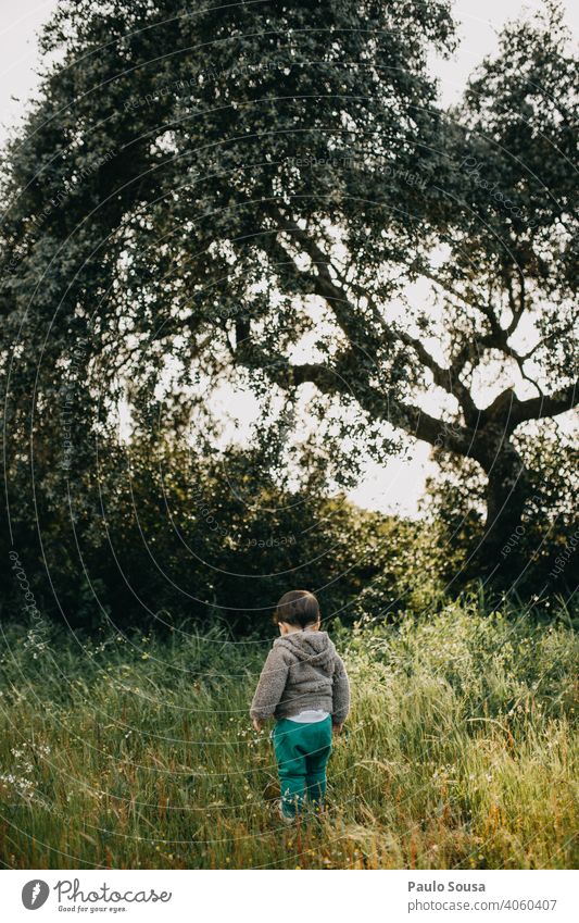 Rückansicht Kind auf Blumenwiese 1-3 Jahre Kaukasier erkunden Junge Natur natürlich authentisch Wiese Außenaufnahme Mensch Tag Kleinkind Spielen Freude Leben