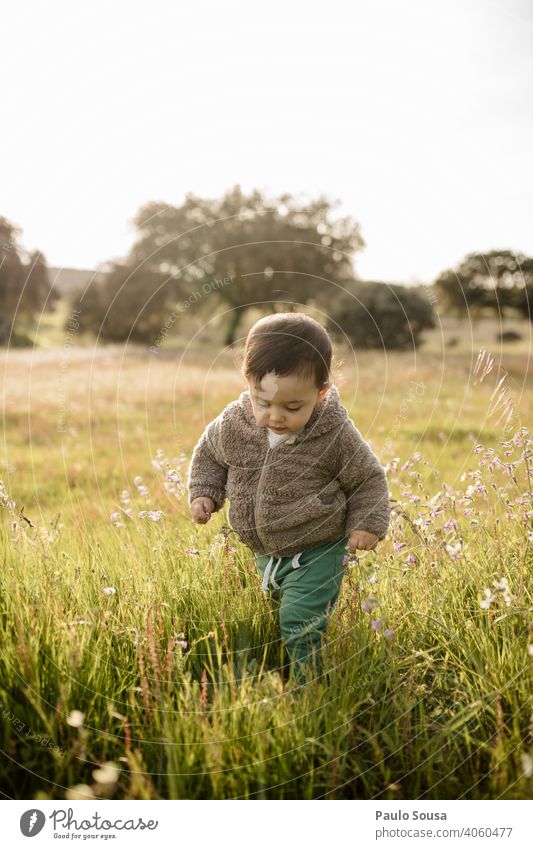 Kind geht durch Blumenwiese Kaukasier 1-3 Jahre authentisch Natur natürlich Umwelt Frühling Frühlingsgefühle Frühlingsblume erkunden mehrfarbig Blüte Wiese