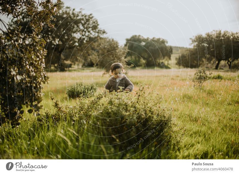 Kind pflückt Frühlingsblumen Kindheit Kaukasier 1-3 Jahre authentisch Frühlingsgefühle erkunden Freude Mensch mehrfarbig Natur Tag Lifestyle Farbfoto