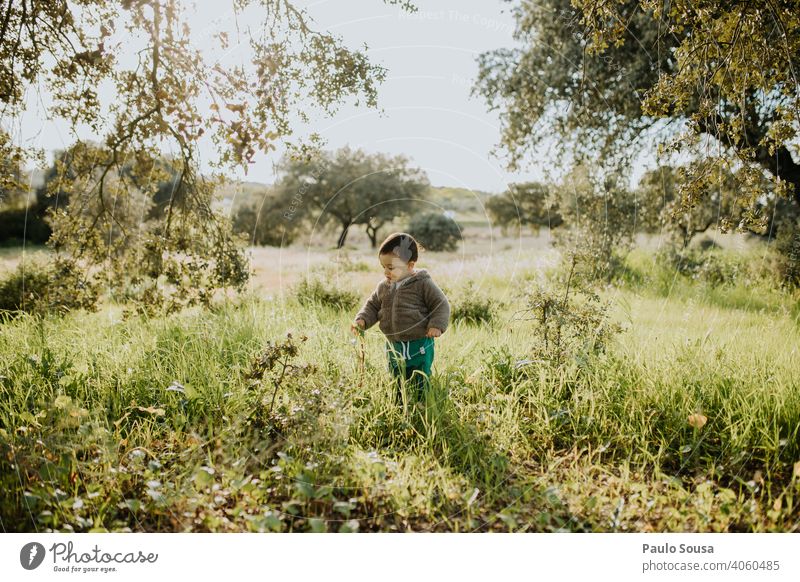 Kind pflückt Frühlingsblumen erkunden 1-3 Jahre Kaukasier Farbfoto Lifestyle Kindheit Tag Natur Mensch Außenaufnahme Freude authentisch Spielen natürlich