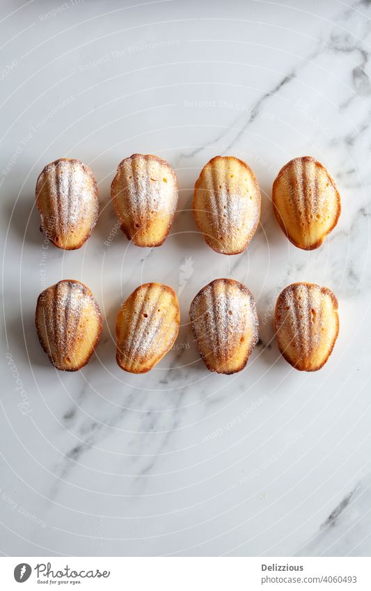 Nahaufnahme von oben von acht hausgemachten Madeleine-Kuchen auf einem weißen Marmor-Hintergrund, mit Kopierraum backen Backwaren Bäckerei braun Butter