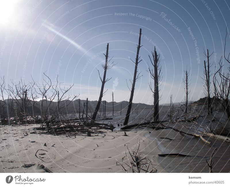 Einoede grau Reflexion & Spiegelung Ferne Ast blau Himmel Sonne Beleuchtung trist Sand Landschaft Natur