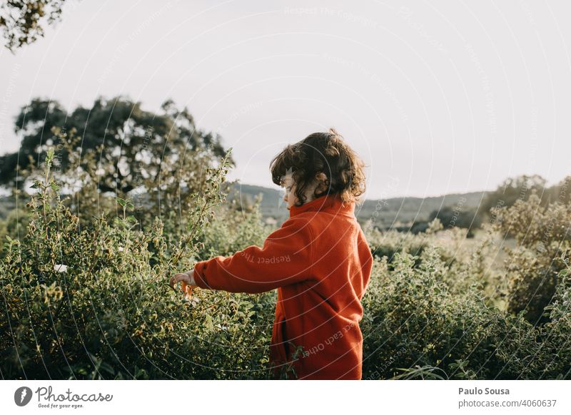 Seitenansicht von Küken beim Pflücken von Frühlingsblumen Frühlingsgefühle Frühblüher Kind Kindheit Kinderspiel authentisch Garten Blühend Natur Farbfoto