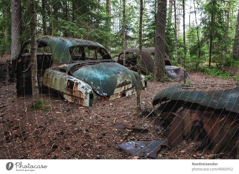 Deplatzierte Autowracks im Wald bei Båstnäs in Schweden auto alt wald illegal entsorgung oldtimer vintage antik patina müll schrott schrottplatz abfall umwelt