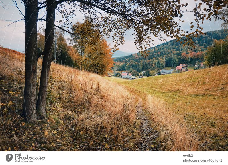 Herbst im Dreiländereck Außenaufnahme beschaulich Wege & Pfade Wald Wiese Bäume Mittelgebirge Farbfoto Haus Horizont Schönes Wetter Ostdeutschland Umwelt Gras