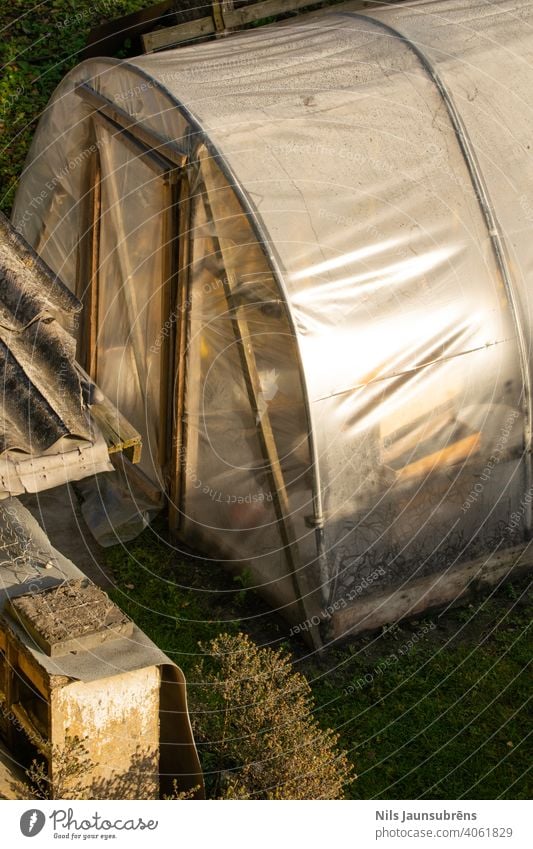 Alter Gewächshauseingang mit schlechten Türen. Sonne Gartenarbeit golden goldene Stunde Gras grün alt Bodenbearbeitung Fußweg System wachsend Wachstum frisch