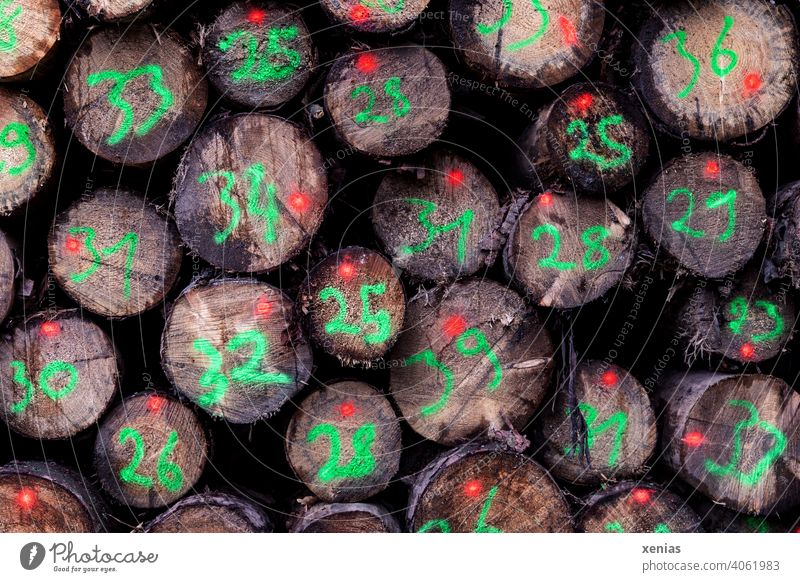 Viele gefällte Baumstämme sind ihrem Durchmesser entsprechend mit grün leuchtenden Zahlen und roten Punkten markiert Baumstamm Holz Ziffern & Zahlen zählen
