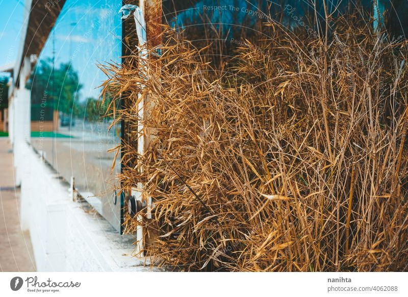 Verlassene und leere Ladenfront in einer städtischen Straße Vitrine Schaufenster schließen abschließen Sauberkeit Reflexion & Spiegelung Fenster Glas