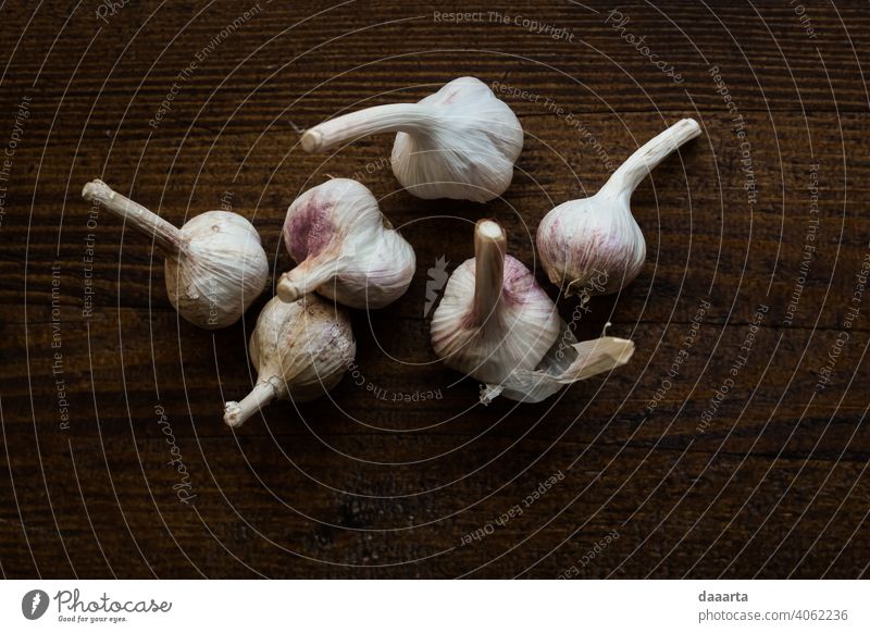 Der berühmte Moment des Knoblauchs Licht Tag Neugier schön Pflanze Leben Natur Gesundheit elegant Slowfood Vegetarische Ernährung Gemüse Lebensmittel