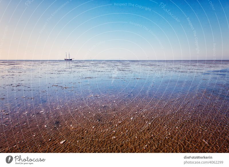 Segelschiff im Wattenmeer beim Trockenfallen Draußen Europa Gewässer Landschaft Madraque Meer Natur Niederlande Ort Reisen Sand Schiff See Segeln Strand Wasser