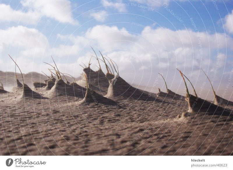 Dünen im Wind Meer Wolken Mondlandschaft Strand Sandverwehung Stranddüne Himmel