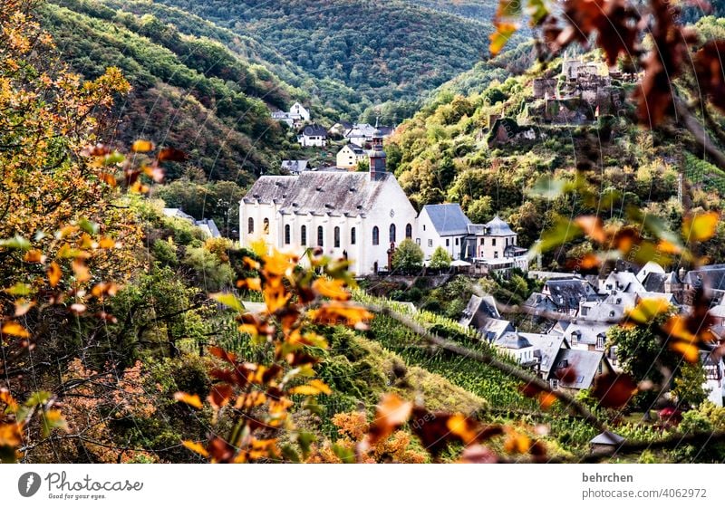 märchenmosel Sehenswürdigkeit Kirche Ruine Burg oder Schloss Kloster Farbfoto Außenaufnahme Landschaft Natur wandern Menschenleer Umwelt Wald