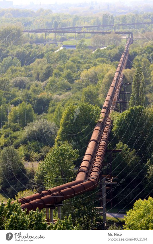 Pipeline mit Knick und Biegung Industrie Technik & Technologie Natur Röhren Umwelt Wald Linie Landschaft Konstruktion Infrastruktur Energie Kraft Rohrleitung