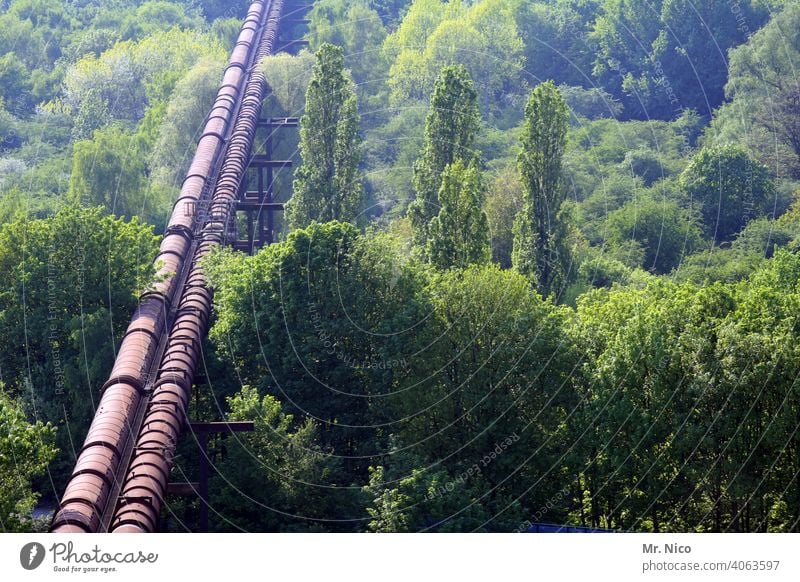 Pipeline Wald Industrie Technik & Technologie Linie Umwelt Energie Kraft Röhren Natur Gas Konstruktion Maschinenbau Landschaft Infrastruktur Rohrleitung lang