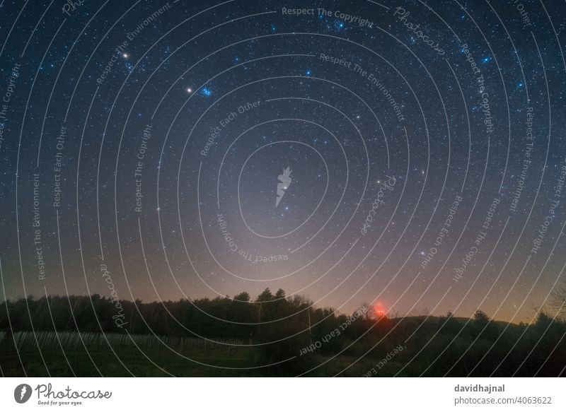 Das Zodiakallicht über dem Pfälzerwald bei Bad Dürkheim. Tierkreislicht zodiakal Licht Nacht Himmel Stern Milchstrasse Erde Planet Staubwischen