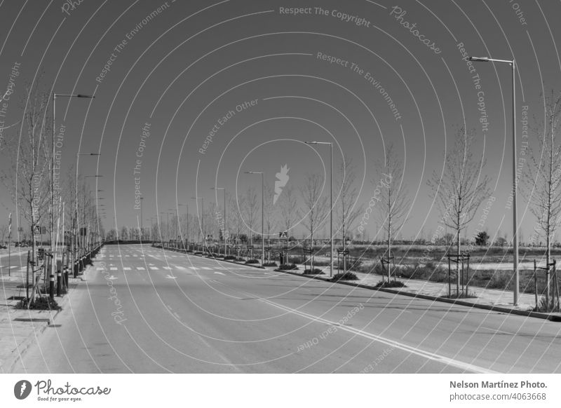 Graustufenaufnahme einer leeren Straße mit Lichtmasten und kahlen Bäumen sehr wenige schwarz auf weiß kahle Bäume COVID19 traurig Himmel Frühling nostalgisch