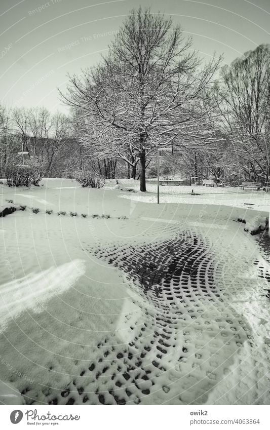 Kalte Krümmung Schnee Winter Schönes Wetter Idylle Umwelt Landschaft ruhig frieren warten Schneedecke ruhend Außenaufnahme Winterpause Menschenleer Kontrast