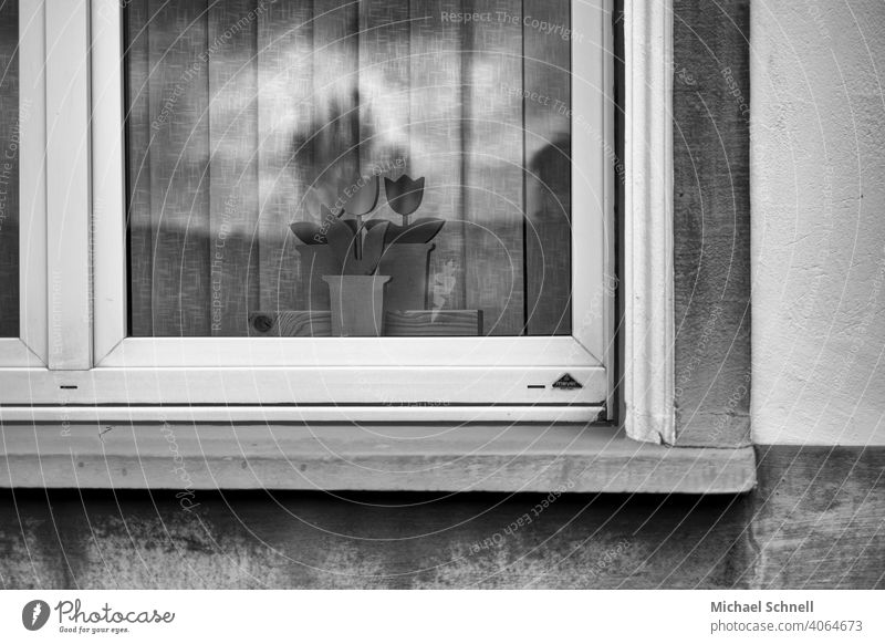 Fenster mit Holzblumen Haus Architektur Fassade Menschenleer trist Tristesse traurig Schwarzweißfoto schwarzweiß