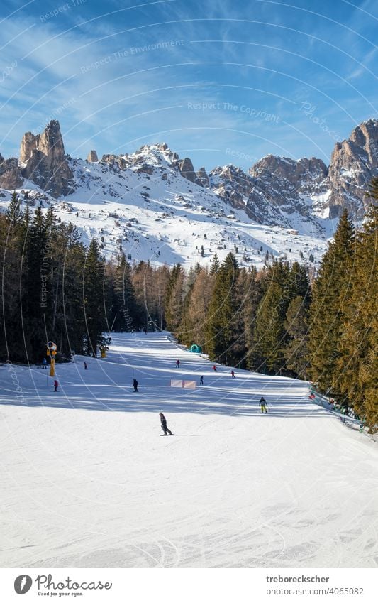 blaue, rote und schwarze Skipisten in Vigo di Fassa, italienische Dolomiten in Südtirol mit wunderschönen Pisten und unter blauem Himmel und vor den typischen schroffen Felsformationen