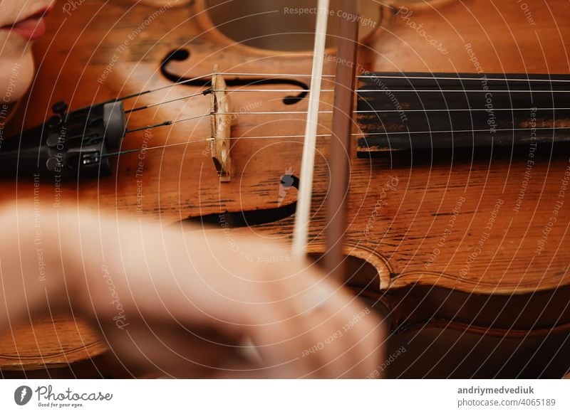 Nahaufnahme einer Violine mit Bogen. Braune Orchestergeige. Finger auf der Tastatur der Violine. Geige Musik klassisch Instrument Schnur Nägel Natur Blumen