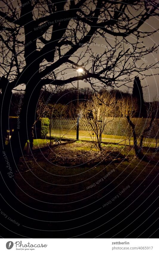 Nachts im Garten abend ast baum dunkel dämmerung erholung erwachen ferien frühjahr frühling frühlingserwachen garten himmel kleingarten kleingartenkolonie