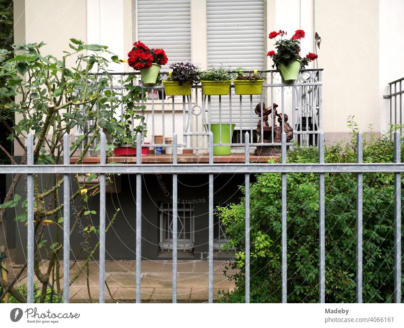 Balkon im Hochparterre eines restaurierten Altbau mit dekorativen Blumenkästen und Pflanzen im Nordend von Frankfurt am Main in Hessen Fassade Garten Vorgarten