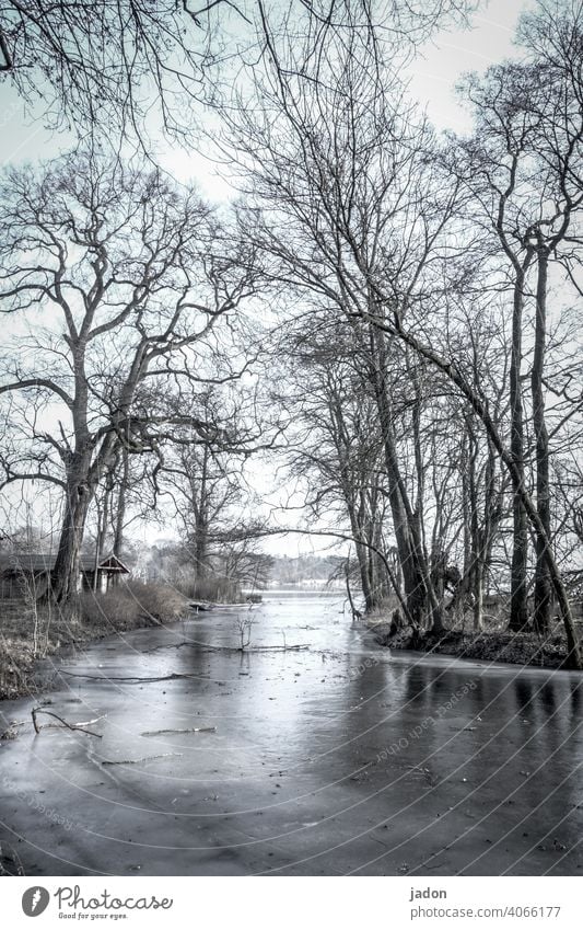 haus am see. Fluss Flussufer Haus Bootshaus Eis Winter Bäume Wasser Frost kalt Menschenleer Natur Landschaft Baum Reflexion & Spiegelung Seeufer Gedeckte Farben