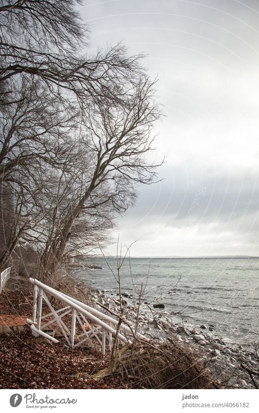 ein besuch am meer. Meer Wasser Strand Wellen Treppengeländer Baum Küste Himmel Ostsee Außenaufnahme Ferien & Urlaub & Reisen Natur Erholung Landschaft