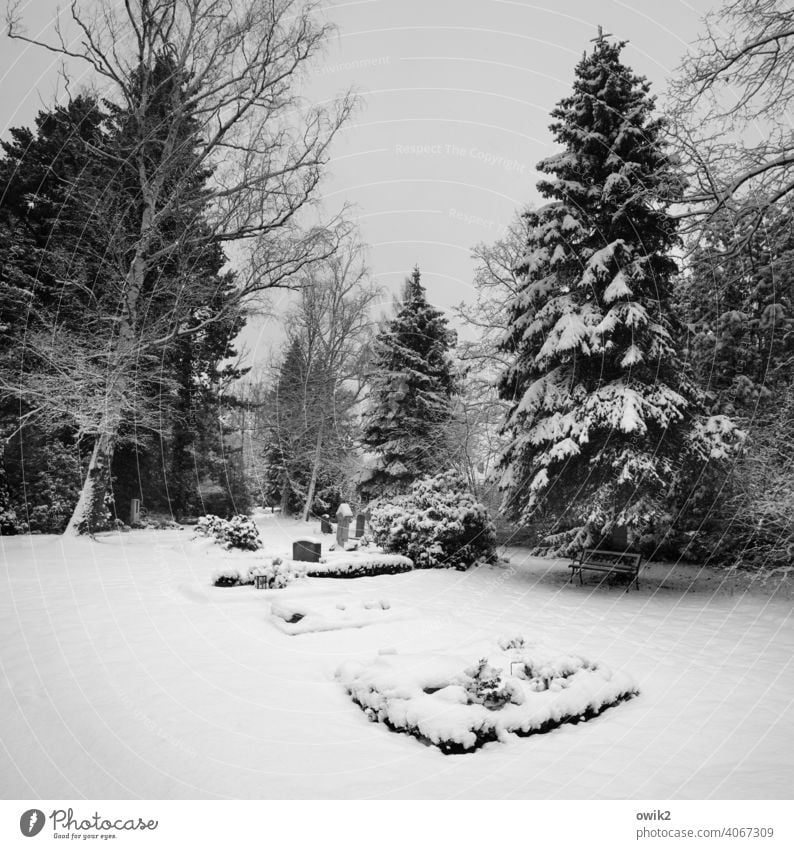 Wintertrauer Gräber Tod Trauer Tost Landschaft Natur friedlich Kälte Panorama (Aussicht) Schönes Wetter Baum Eis Frost Friedhof trösten Grabsteine kalt frieren