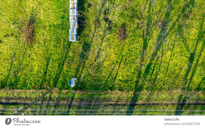 Blick von oben auf Gärtner im Schutzoverall, besprüht Obstbäume mit langer Spritze, Bienenstand ist im Obstgarten Antenne Aerosol landwirtschaftlich Ackerbau