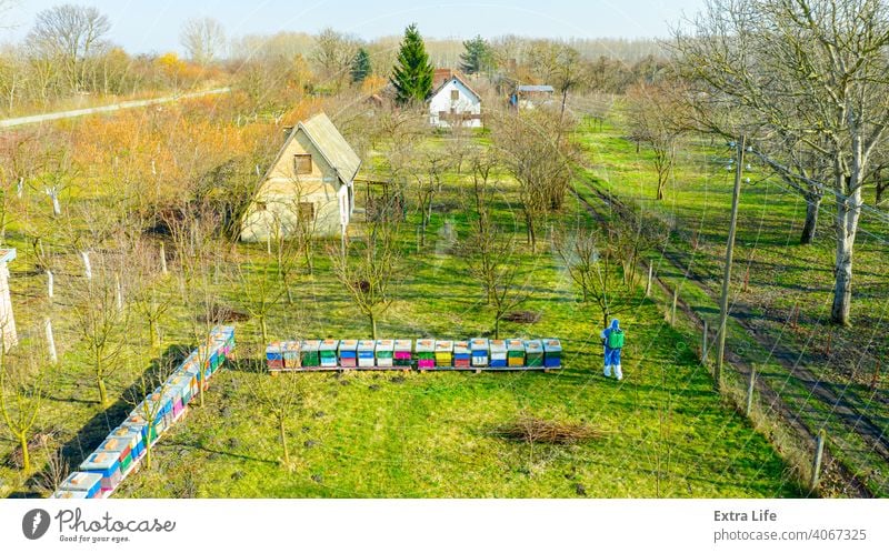 Blick von oben auf Gärtner im Schutzoverall, besprüht Obstbäume mit langer Spritze, Bienenstand ist im Obstgarten Antenne Aerosol landwirtschaftlich Ackerbau